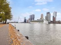 Landverhuizersplein 53, 3072 MH Rotterdam