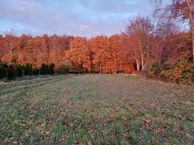 Zuidwending, 9699 PV Vriescheloo