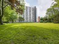 Van Leeuwenhoekstraat 5-0014, 2014 GC Haarlem