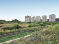 Groningsestraat 305, 2587 PH Den Haag