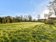 Hanepoel, 2136 NJ Zwaanshoek