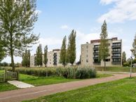 Schout van Bergaignestraat 63, 5237 SV Den Bosch