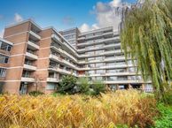 Papiermolen 92, 2317 SW Leiden