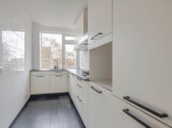 Ruigoord 186, 3079 XV Rotterdam