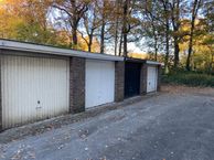 Ranonkelstraat, 4702 BP Roosendaal