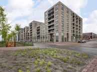 Bert Haanstrakade 796, 1087 HJ Amsterdam