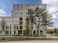 Sabapad 46, 2035 VW Haarlem