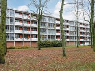 Het Hoogt 80, 1025 HB Amsterdam