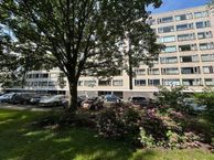 Richard Holstraat 41, 2551 HM Den Haag