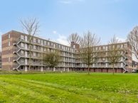 Fluitekruidweg 106, 1508 AM Zaandam