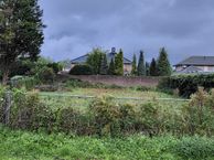 Den Elshout, 4711 PW St. Willebrord