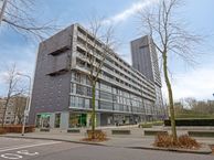 Professor de Moorplein 486, 5037 DR Tilburg