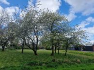 De Kamp, 9944 CB Nieuwolda