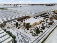 Alsemgeestlaan 7, 2691 PJ 's-Gravenzande