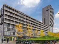 Professor de Moorplein 547, 5037 DR Tilburg