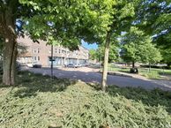 Pinasplein 17-C, 3028 XV Rotterdam