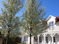 Groenevelt 12, 4524 MB Sluis