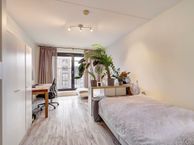 Welnastraat 355, 1096 GJ Amsterdam