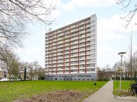 Elviraland 144, 2591 GL Den Haag