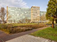 Bos en Lommerplantsoen 81-N, 1055 AA Amsterdam