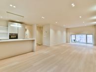 Van Hilligaertstraat 15-H, 1072 JW Amsterdam