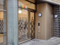 Vijfharingenstraat, 6211 ED Maastricht