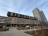 Gedempte Zalmhaven, 3011 BT Rotterdam