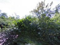 Zandven 34, 4625 DJ Bergen op Zoom