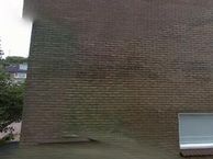 Riet 1, 2992 VV Barendrecht