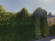 Portugalstraat 28, 4614 JM Bergen op Zoom