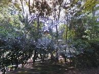 Zandven 50, 4625 DJ Bergen op Zoom