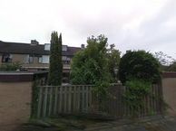 Schoener 74, 2991 JM Barendrecht