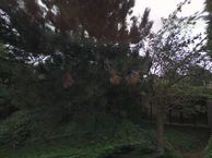 Klipper 27, 2991 KK Barendrecht