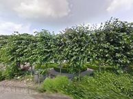 Groenewoudseweg 9, 4613 BH Bergen op Zoom