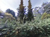 Zandven 28, 4625 DH Bergen op Zoom